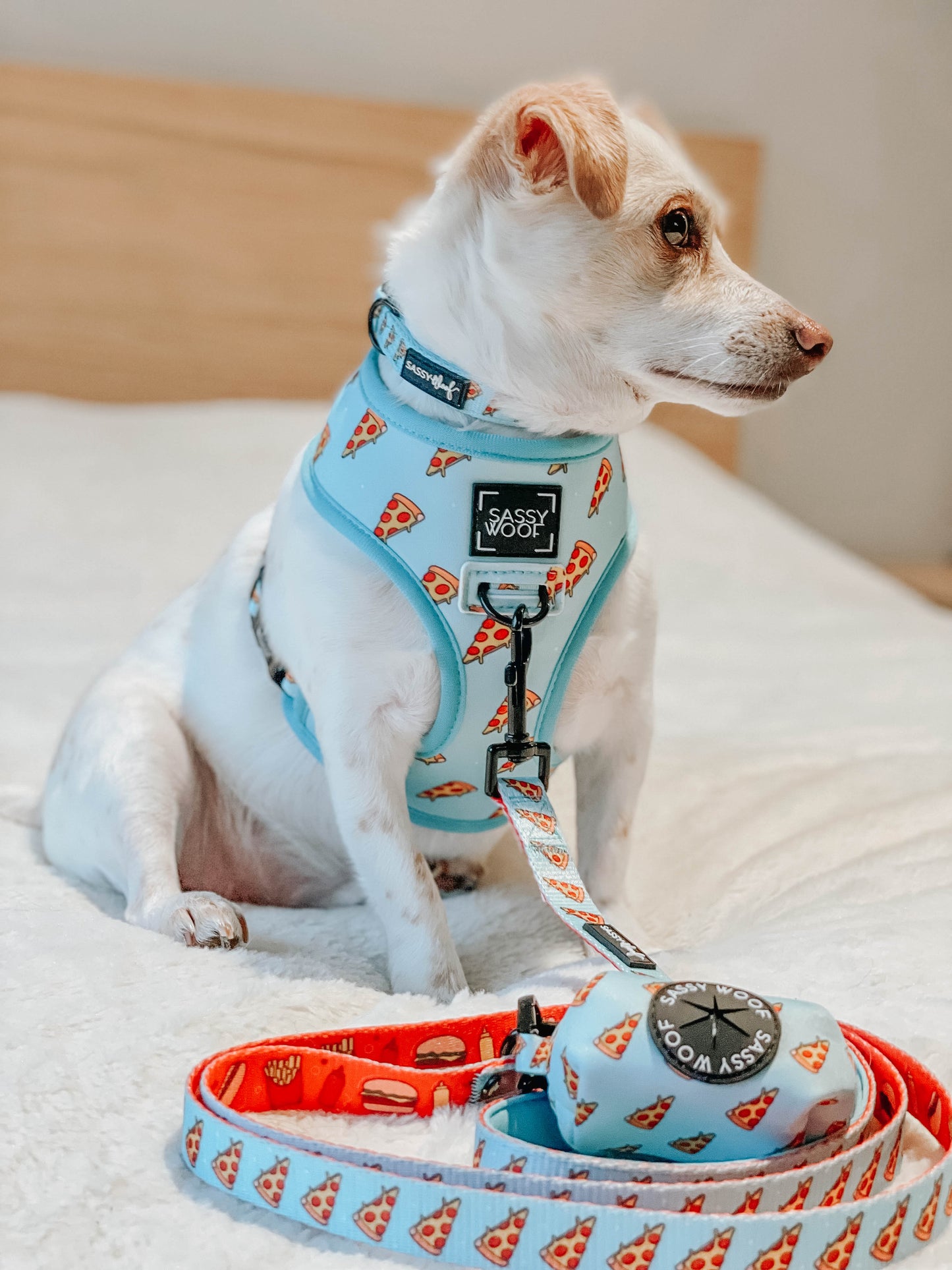 Sassy Woof One Hot Pupperoni dog collar with red and black chili pepper design on a black leather strap.
