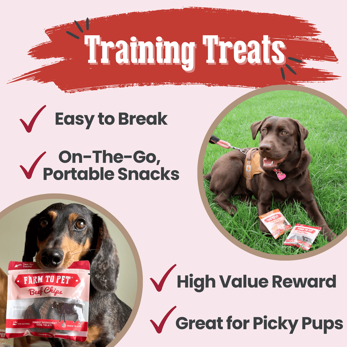 Beef chips snack pack used as low-fat high-value dog training treats on walk