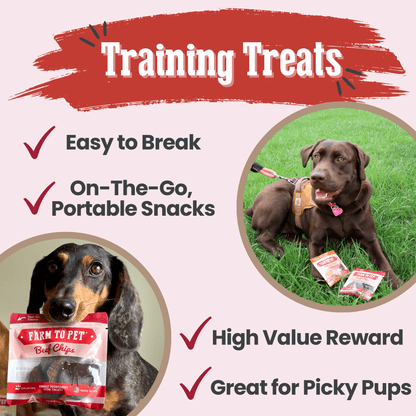 Beef chips snack pack used as low-fat high-value dog training treats on walk