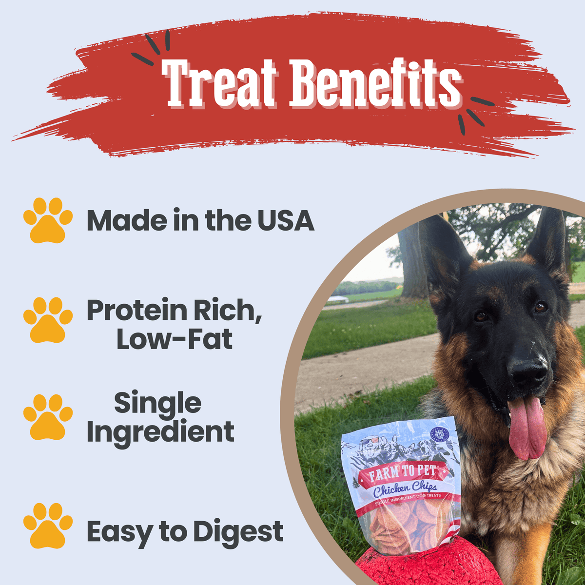 Chicken chips for dogs treat benefits protein B vitamins zinc single-ingredient