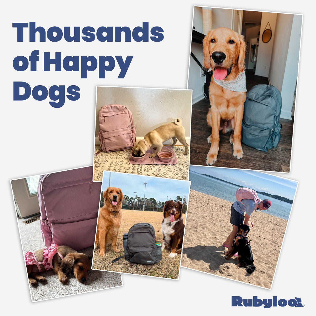 Doggy Bag Backpack additional product view – Rubyloo dog travel backpack
