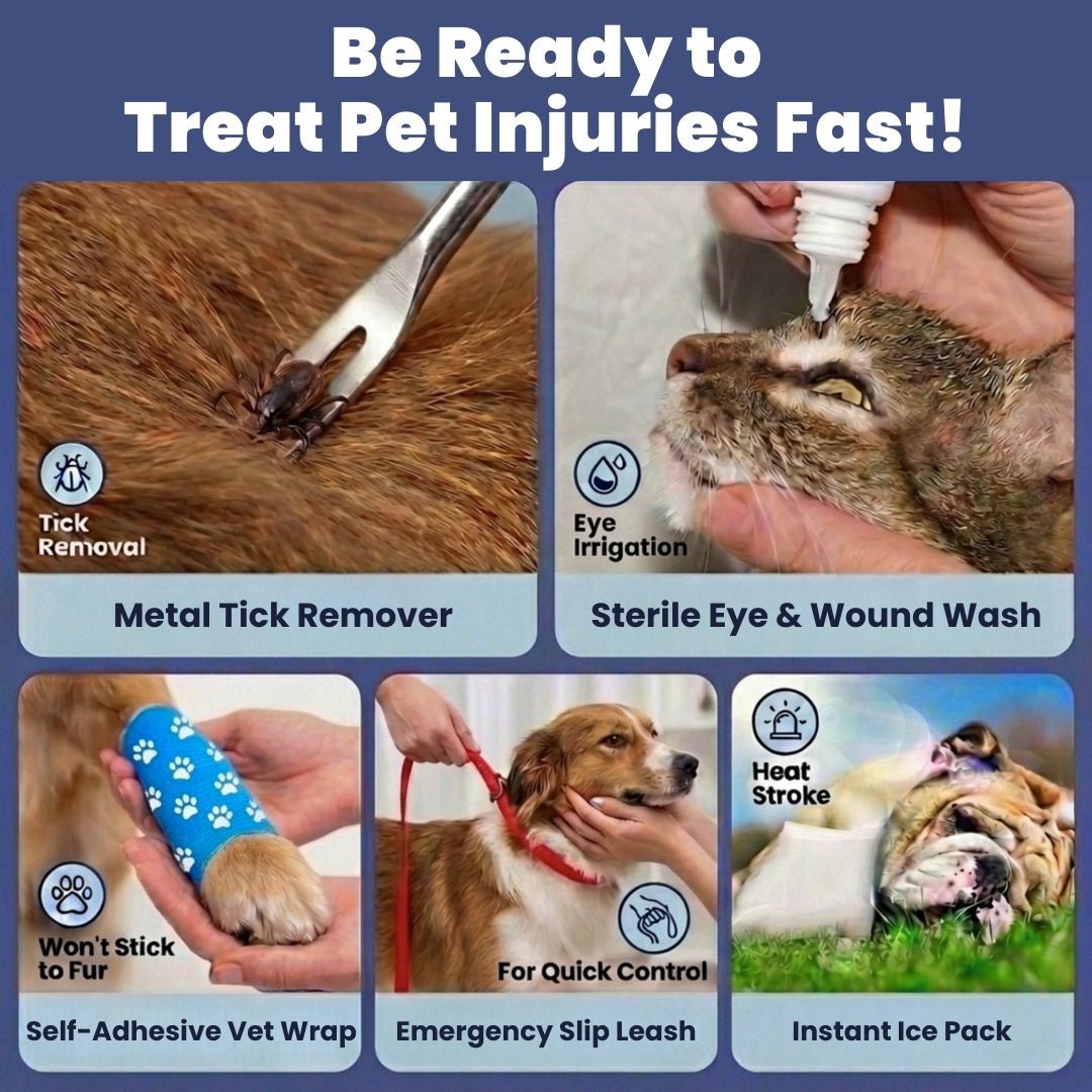 Rubyloo pet first aid kit – treat pet injuries fast, vet approved supplies