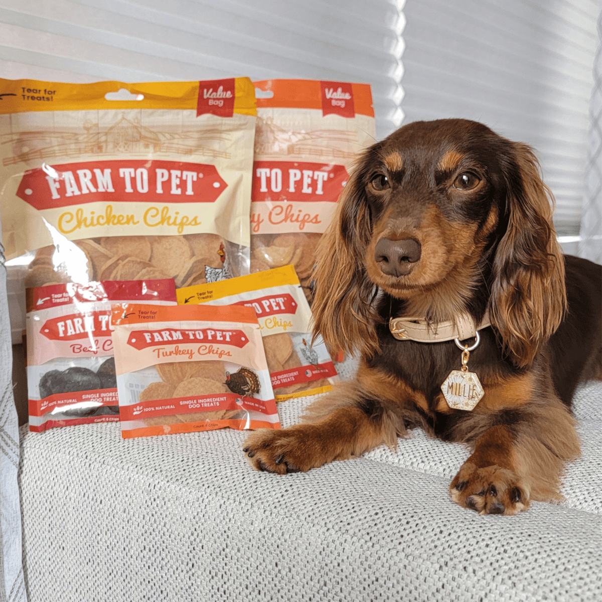 Farm to Pet Turkey and Chicken Chip Duo 12oz Value Bundle – Double Savings on Poultry Dog Treats