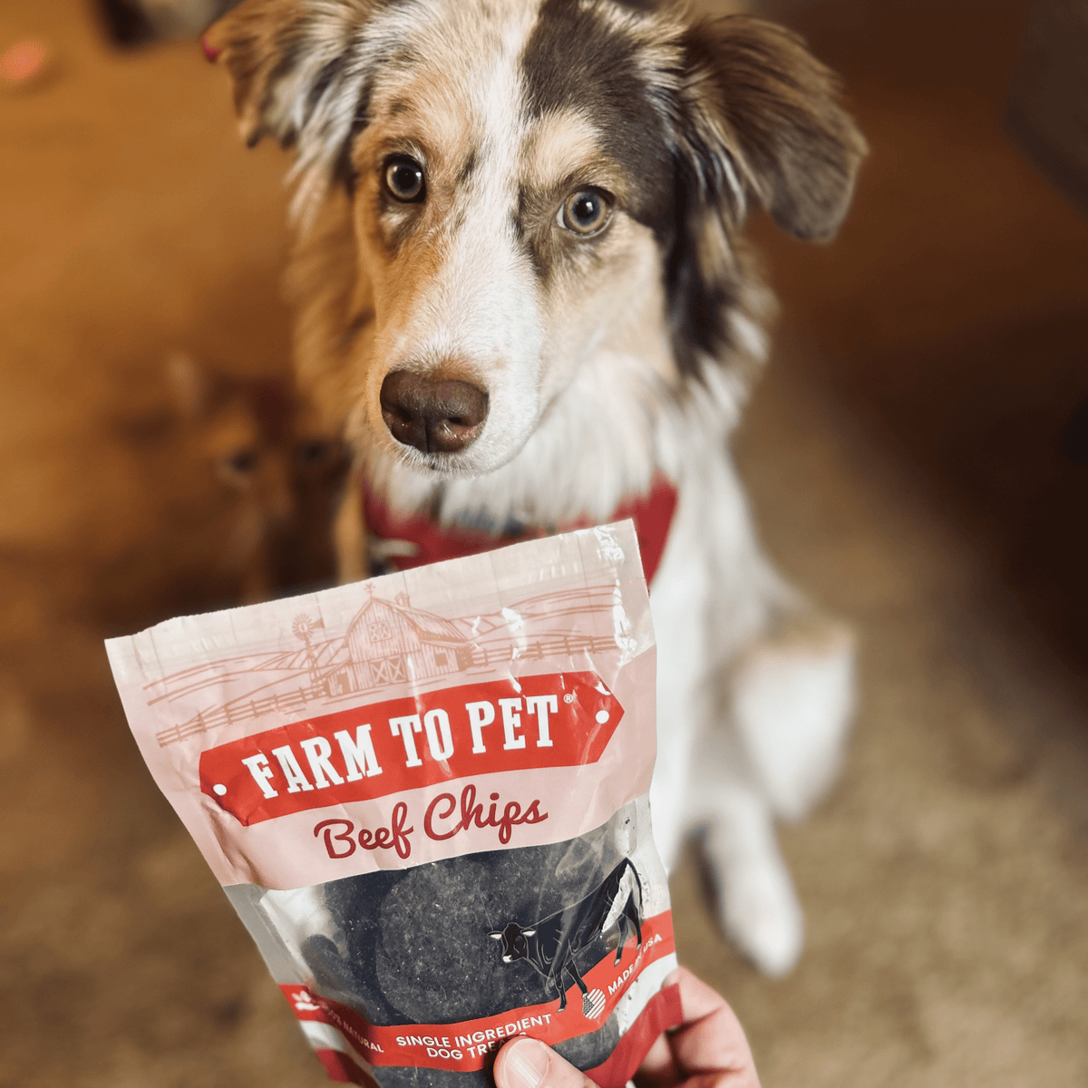 Farm to Pet Single Ingredient Beef Chips Training Treats for Dogs and Puppies