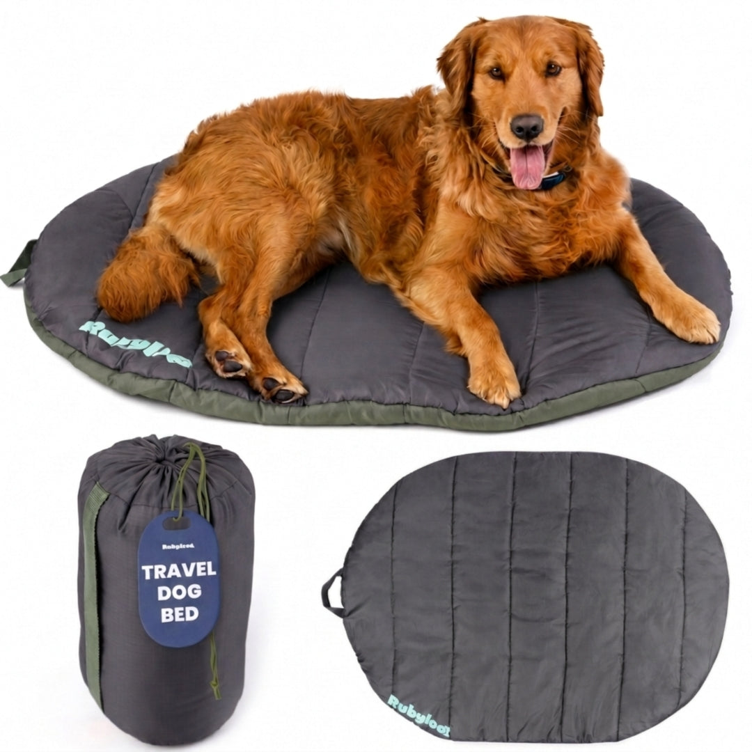 Portable foldable travel dog bed for dogs, featuring a packable carry bag for camping, road trips, hiking, and outdoor travel.