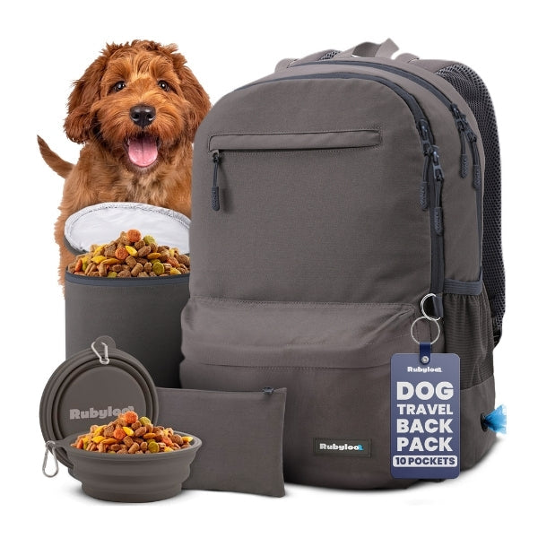 Doggy Bag Backpack in grey – main product shot
