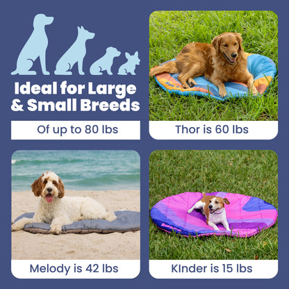 Rubyloo travel dog bed padding detail – extra cushioning for cold hard ground