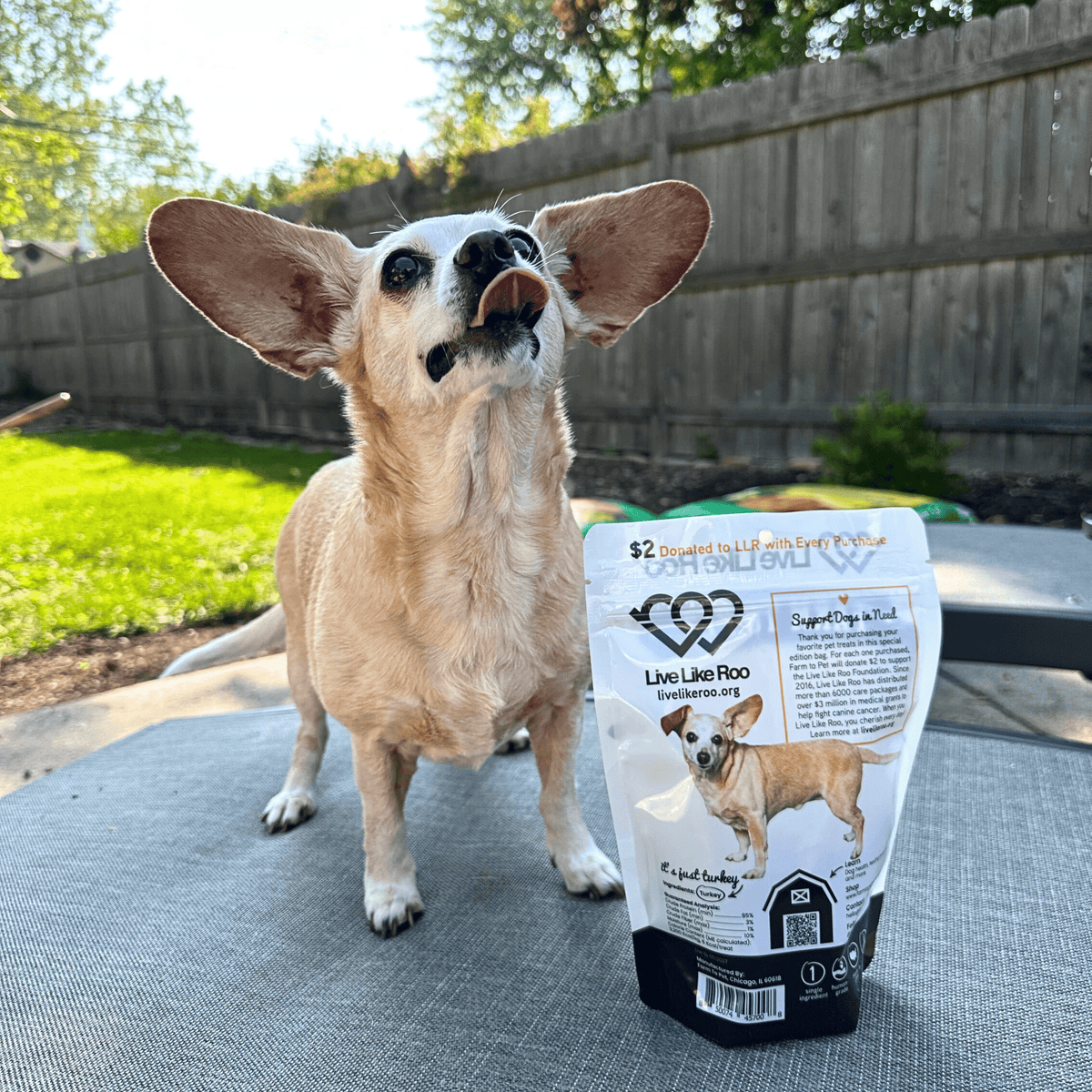 Live Like Roo turkey dog treats give back to canine cancer research per purchase