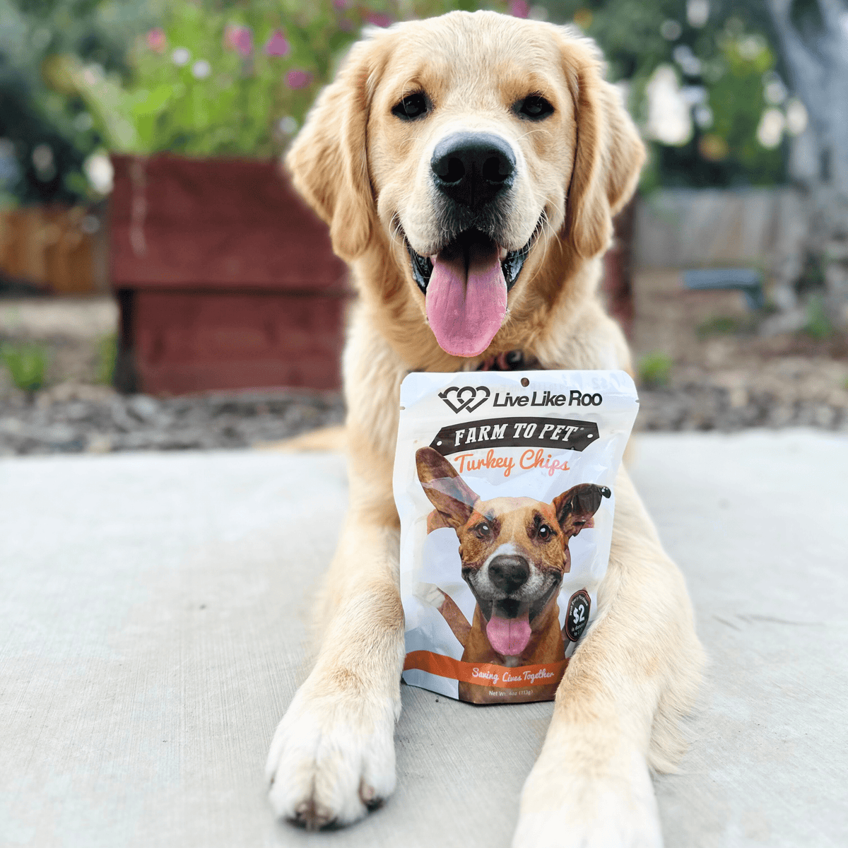 Happy dog eating Live Like Roo single-ingredient turkey dog treats