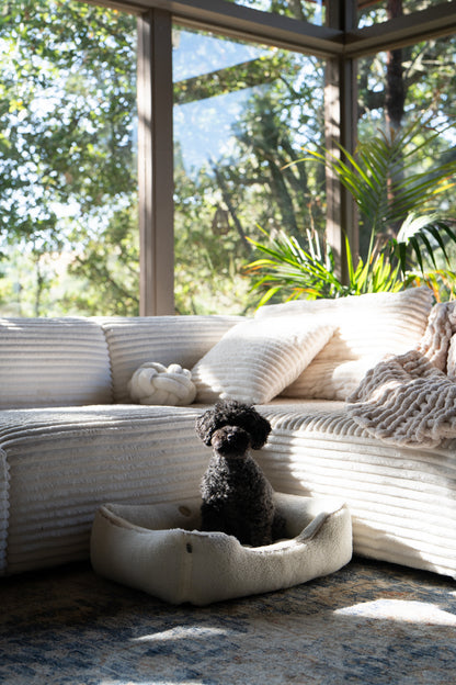 Chester and Lee luxury furry sleeper dog bed in gray with a small black poodle sitting inside, styled in a modern living room.