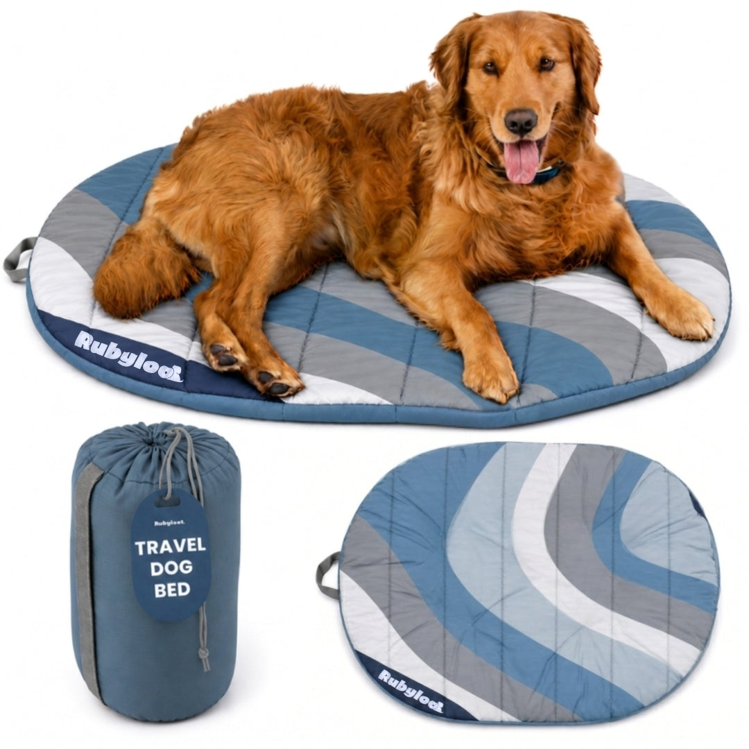 Foldable travel dog bed by Rubyloo with dog resting on portable camping bed and included carry bag, ideal for road trips, hiking, and outdoor adventures.