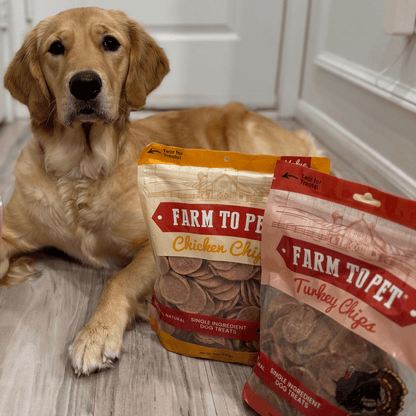 Dog enjoying Farm To Pet turkey and chicken chip dog treat duo 12oz bundle