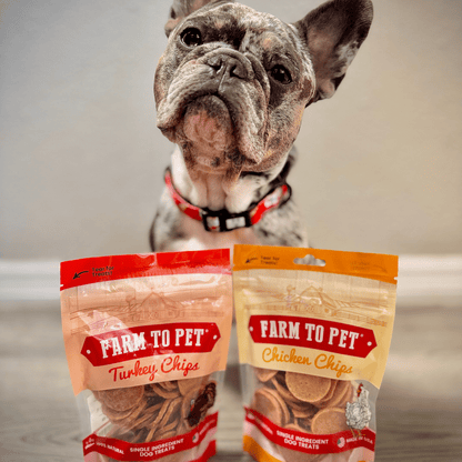 French bulldog with Farm To Pet turkey and chicken chip dog treat bundle