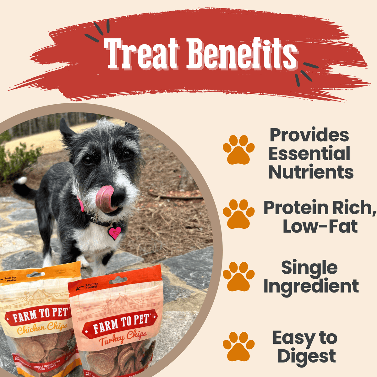 Turkey and chicken dog treat duo benefits high-protein low-fat single-ingredient
