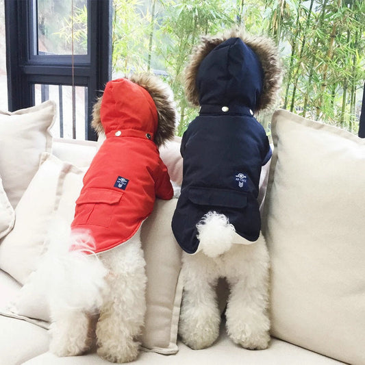 Two dogs wearing Pet Zen hooded cotton dog coats in red and black sitting on a couch