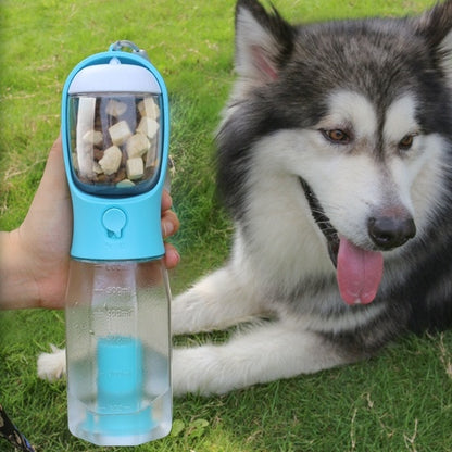 Husky standing next to a portable dog water bottle on a hiking trail