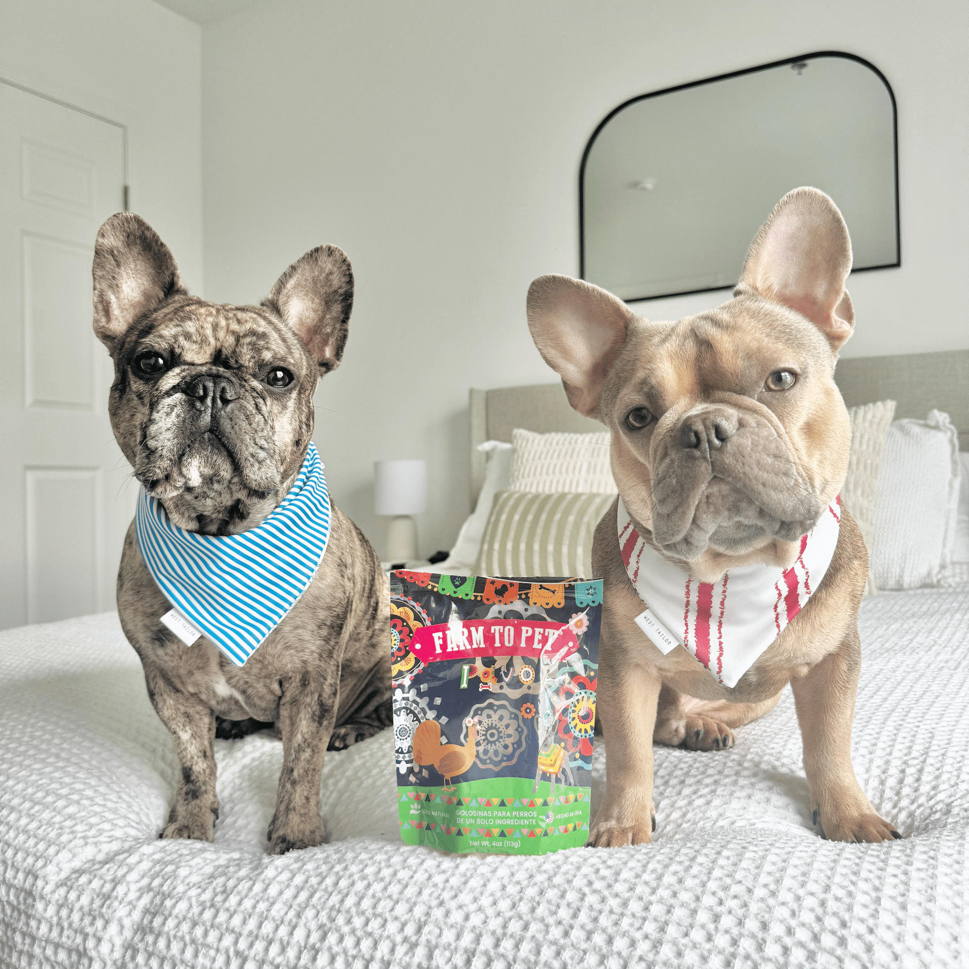 Two dogs with Premios Para Perros beef chicken turkey dog treat variety bundle