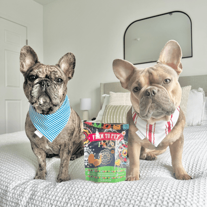 Two dogs with Premios Para Perros beef chicken turkey dog treat variety bundle