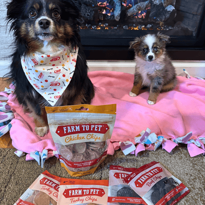 Puppy with Farm To Pet single-ingredient training treats starter pack for new dogs
