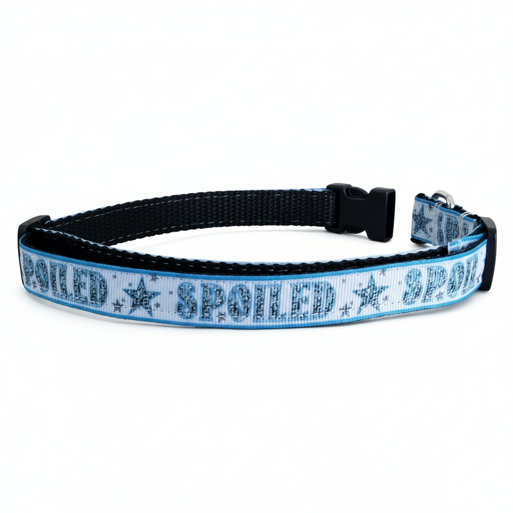 Spoiled Blue Dog Collar – Adjustable Nylon Pet Collar
