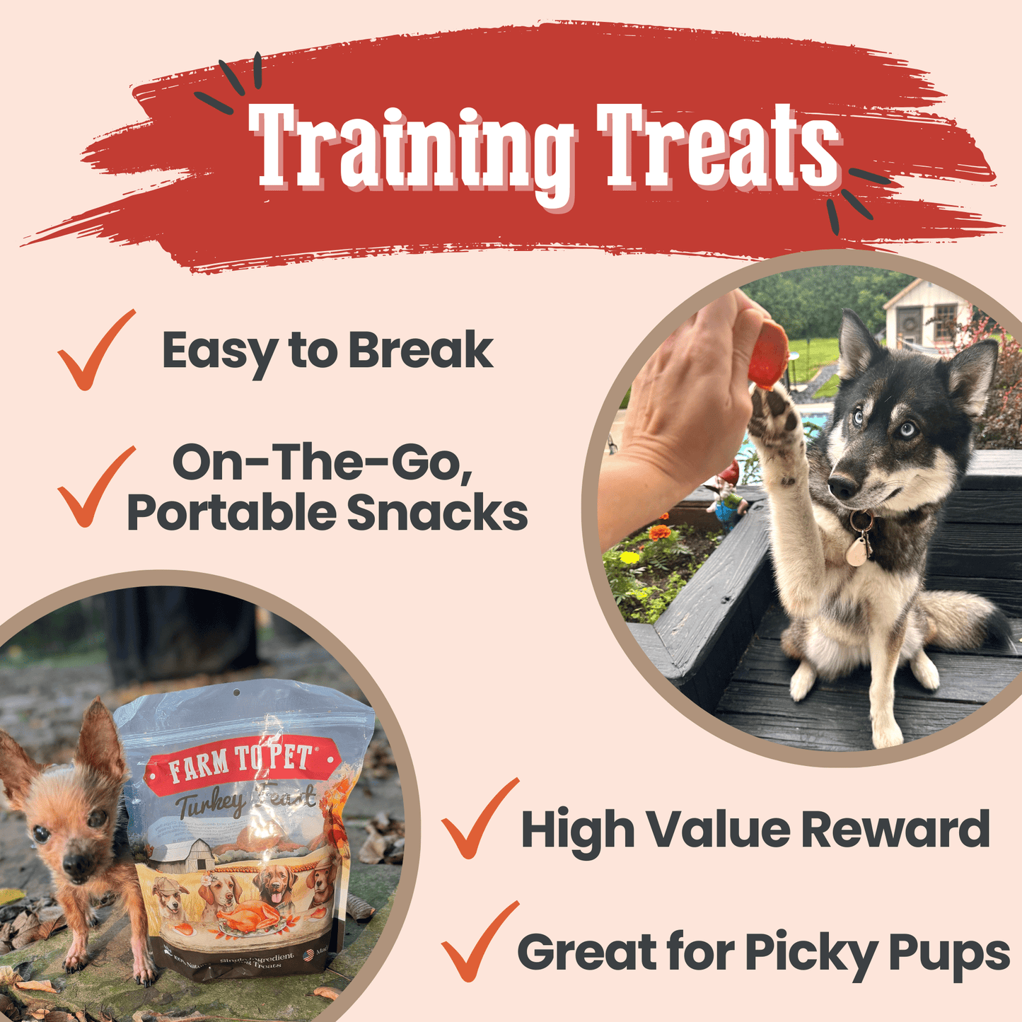 Turkey chips for dogs used as low-fat high-value training rewards on trail
