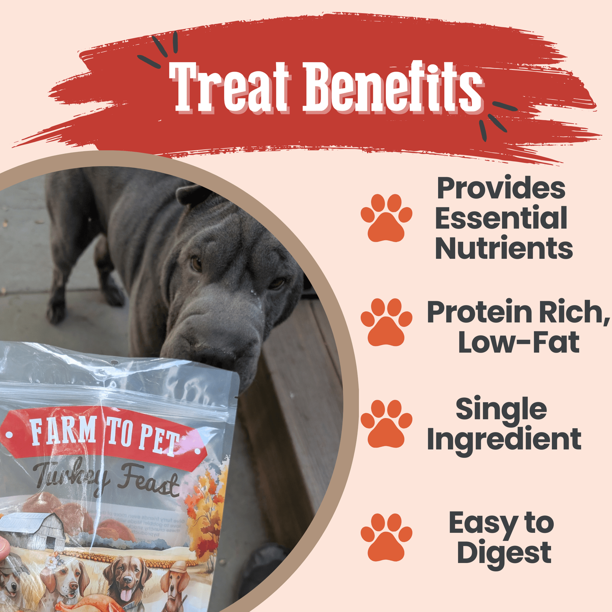 Turkey chips for dogs treat benefits grain-free single-ingredient low-allergen