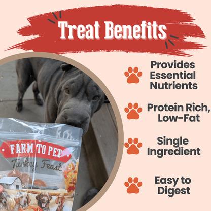 Turkey chips for dogs treat benefits grain-free single-ingredient low-allergen