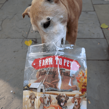 Dogs sharing turkey chips value size single-ingredient training treats