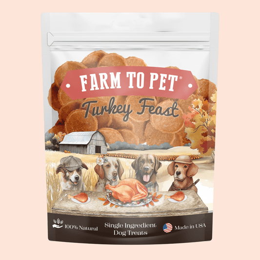 Turkey chips for dogs 12oz value size single-ingredient training treats front bag