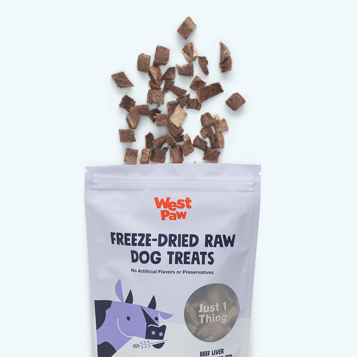 Dog enjoying a West Paw Beef Liver freeze dried treat