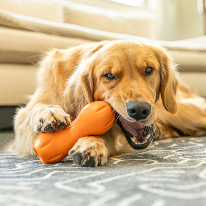 A West Paw Large Dental Stick flavored with mint and parsley to support dog dental health