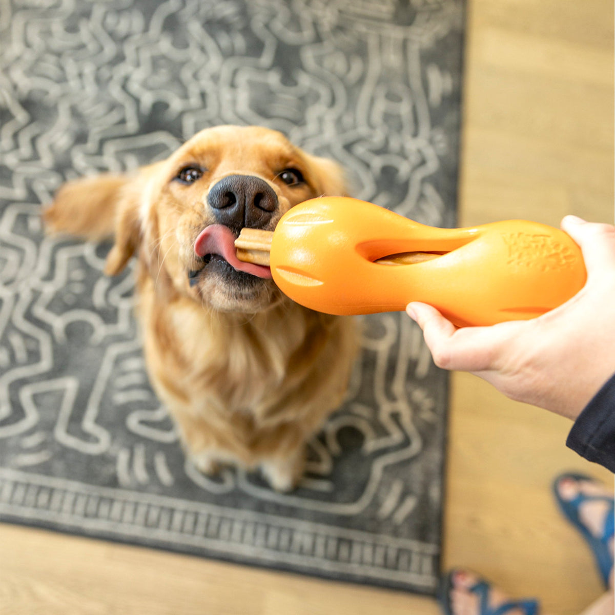 A West Paw Natural Dental Stick made with upcycled apple, parsley, and mint for large dogs