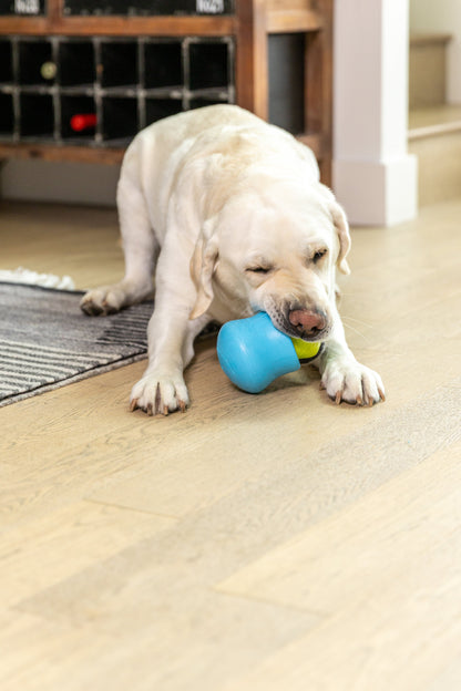 Close-up of a dog licking a West Paw Toppl filled with a Toppl Treat