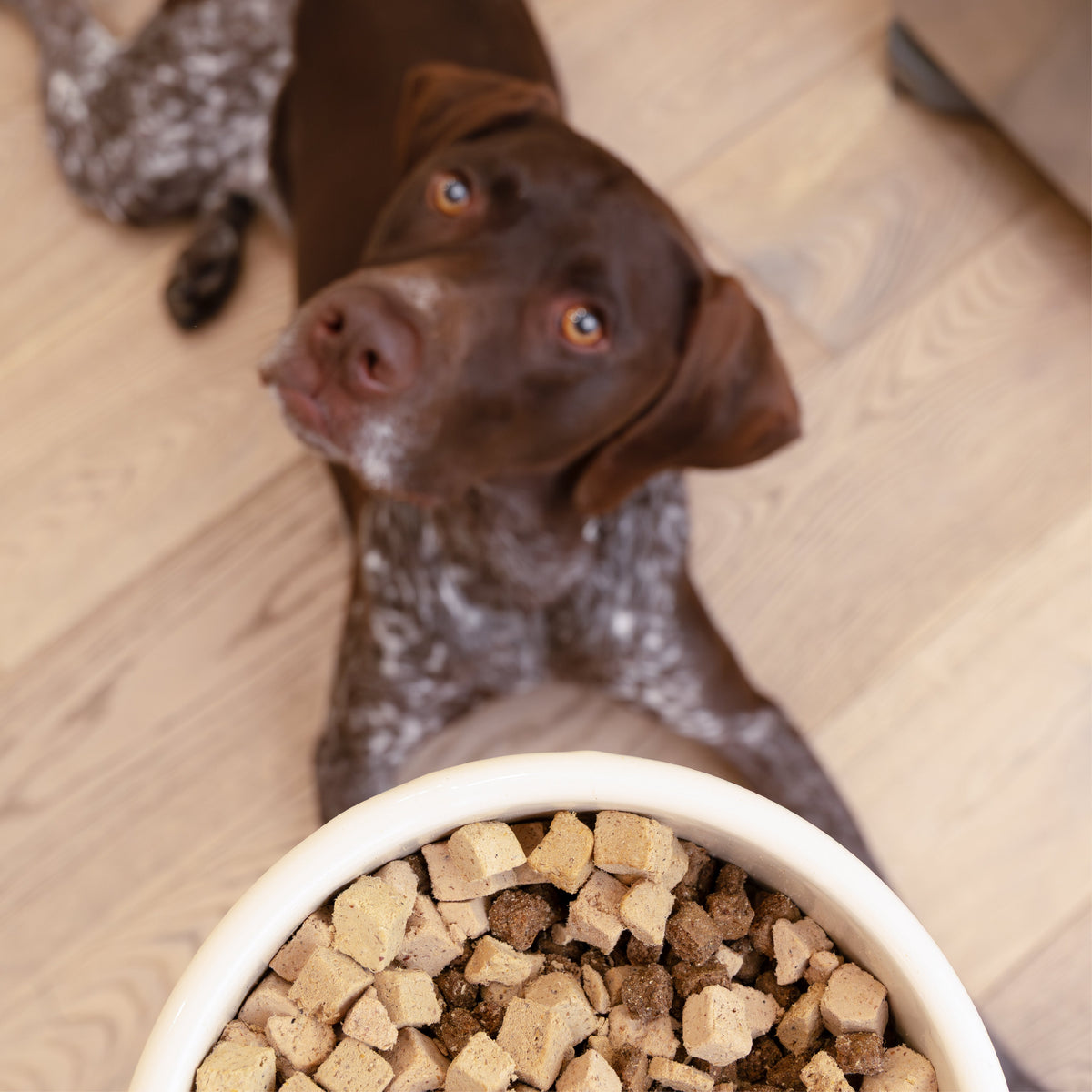 West Paw Trout and Beef Rawbiotic Bites topper poured over a bowl of dog kibble