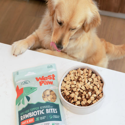 Freeze dried Rawbiotic Bites Trout and Beef topper texture close-up